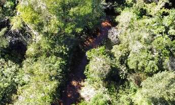 Imagem 5: Um lindo sítio 63,50 hectares próximo a Chapada dos Guimarães
