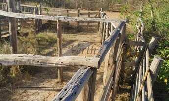 Imagem 2: Fazenda em Buritizeiro - Minas Gerais, à venda com 5600ha