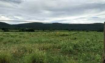 Imagem 2: Fazenda em Manga - Minas Gerais, à venda com 2.320ha - Para pecuária