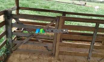 Imagem 5: FAZENDA À VENDA - 113 HECTARES - MORRO DA GARÇA (MG