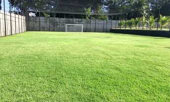 Imagem 7: Sunset Boulevard