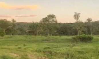 Imagem 4: Fazenda à Venda 2.745 hectares em Porto Esperidião - MT