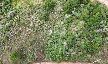 Imagem 3: Oportunidade de Lote com Vista p/ Pedra do Baú na Região do Imbiri - Campos do Jordão/SP