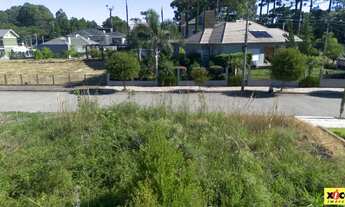 Imagem 5: Terreno para Venda em Nova Petrópolis, Juriti