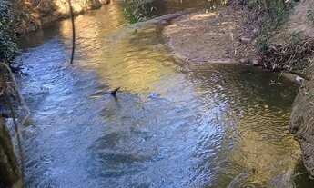 Imagem 3: Chácara Sitio Agrovale em Planaltina com 2,3 hectares, fica apenas 4 KM do centro de Plana
