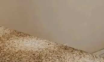 Imagem 4: Apartamento 2 Dormitórios - Lourdes, Uberaba