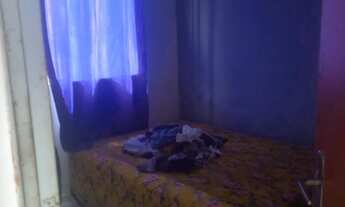 Imagem 5: Vendo essa casa no turiuba