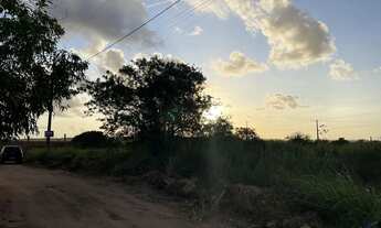 Imagem 7: Trevo do Francês