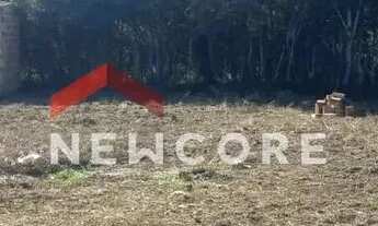 Imagem 3: Lote em Rua Domingos Monteiro - Saturnino Braga - Mussurepe/RJ