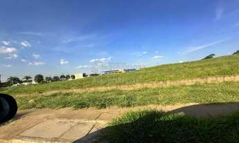 Imagem 3: Terreno Área em São José do Rio Preto