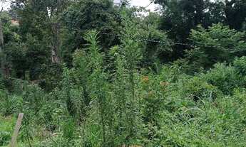 Imagem 2: Vendo lotes em condomínio fechado no bairro Abranches