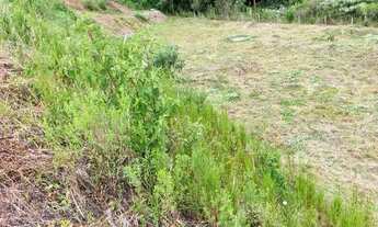 Imagem 2: Terreno Vila Romana - Flores da Cunha - RS