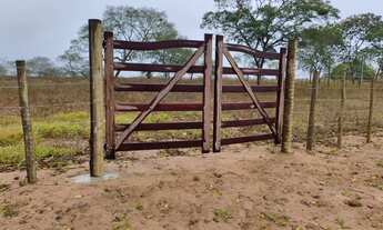 Imagem: 06 tarefas no haras em frente a pista de