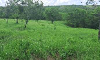 Imagem 5: 54 Hectares de Qualidade/Capacidade 100 Bois..