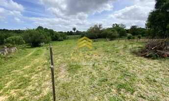 Imagem 7: Imóvel para venda possui 650 metros quadrados em Águas Claras - Viamão - RS