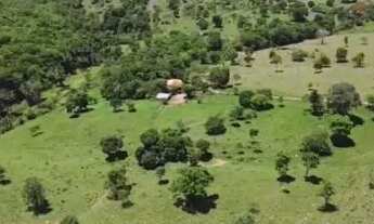 Imagem 4: Cromínia - São 8.6 alq. situada à 64 km de Goiânia -BR 153, sendo 50 km de asfalto e 14