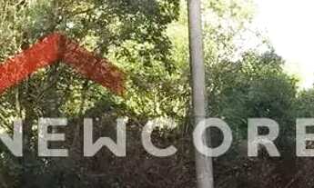 Imagem 2: Lote em Estrada Serra Velha - São Bernardo - São Francisco de Paula/RS