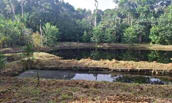 Imagem 4: Presidente Figueiredo