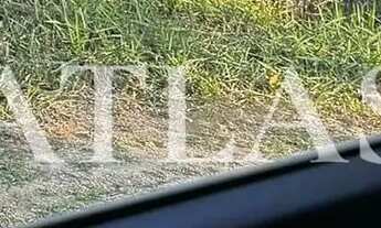 Imagem 6: Casa 2 quartos, 1600m2- Arrozal, Piraí/RJ