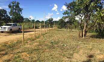 Imagem: Chácaras de 5.000 m2, Planas, Cerca tratada