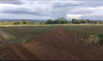 Imagem 3: Vende chácara de 15 alqueires dupla aptidão, a 1 km de Silvania