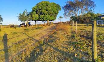 Imagem: Fazenda dupla aptidão Coromandel
