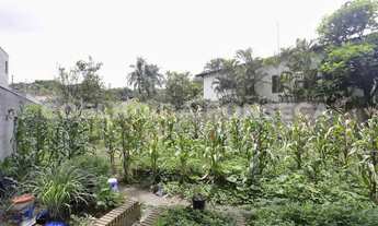 Imagem 4: Terreno Padrao - Boacava/Sao Paulo