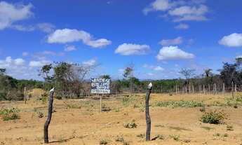 Imagem 5: Terreno próximo ao capão do mel