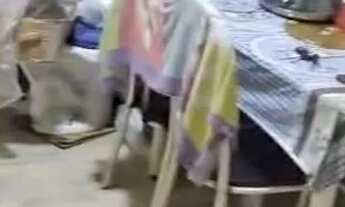 Imagem 3: ALUGA-SE UMA CASA