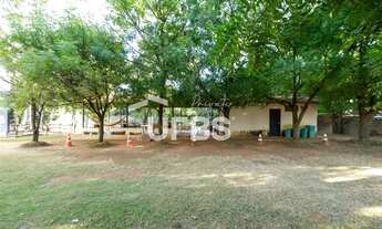 Imagem 6: Descubra o auge do luxo e tranquilidade nesta exclusiva Chácara/Haras de 11.000m² em Goiân
