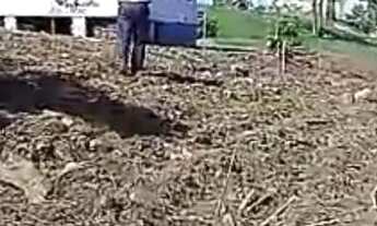 Imagem 2: Vendo Sítio/Chácara em Santo Antônio da Patrulha