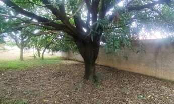 Imagem 2: Terreno 1.500 m² Todo Murado Bairro Estâncias Imperiais Ótimo para Investir