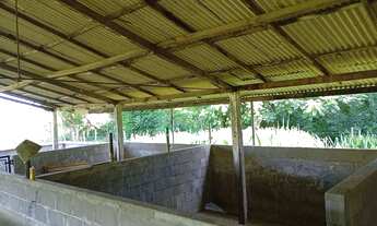 Imagem 4: Vende-se sítio em Conceição de Macabu