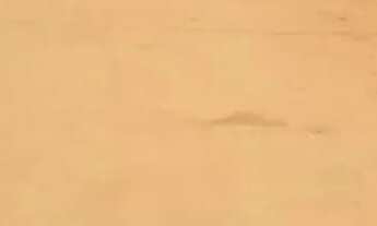 Imagem 5: Vendemos ótimos lotes, no Condomínio Residencial Village II, prox. à DF-230, PLANALTINA