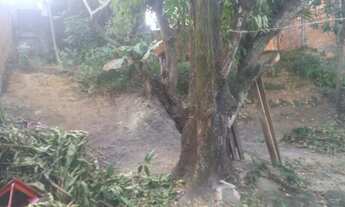 Imagem 4: Casa e Loja a venda