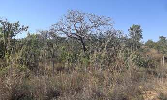 Imagem 4: Jaboticatubas.! Terreno rural de 17hectares ideal para LoteAment * ZAP Guilherme