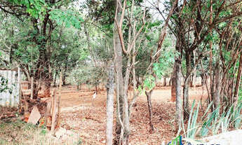 Imagem 7: Lote Residencial Ouro Verde