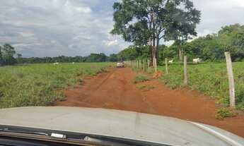 Imagem 3: Fazenda de 265 Alqueires vale do Araguaia Marianopolis TO
