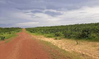 Imagem 5: Fazenda de 783 Alqueires em Santa Maria -TO