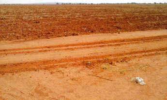 Imagem 5: FAZENDA ALTAMENTE PRODUTIVA COM 470HECTARES, CAFE E SOJA IRRIGADA!!