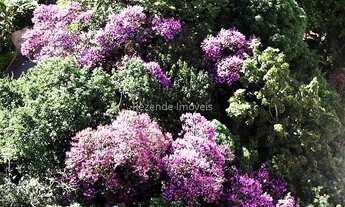 Imagem 7: Juiz de Fora - Apartamento Padrão - Alto dos Passos