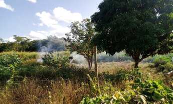 Imagem 3: Vendo chácara de 1200 metros