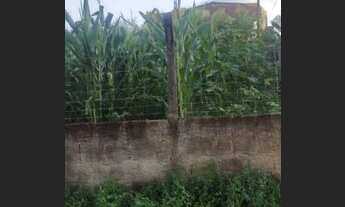 Imagem 2: Venda Chácara com venda por R$130.000