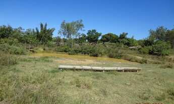 Imagem 5: Sitio 55,00 hectares Região Várzea Grande