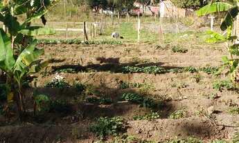 Imagem 4: Vende- se chácara