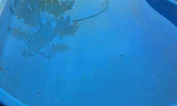 Imagem 3: Venda ou troca essa chácara em casa ou apartamento