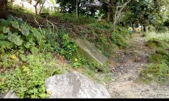 Imagem 6: Belíssima área verde em Tabatinga