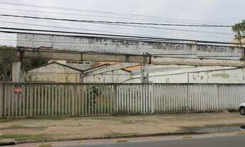 Imagem 6: Porto Alegre - Terreno Padrão - Cristal