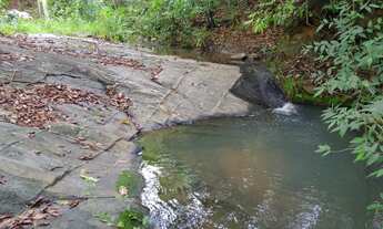 Imagem 3: Chácara em Mairipotaba a 80 km de Goiânia com córrego energia chácaras 20.000 metros