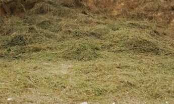 Imagem 5: VENDO TERRENO Terreno / lote com venda por R$135.000